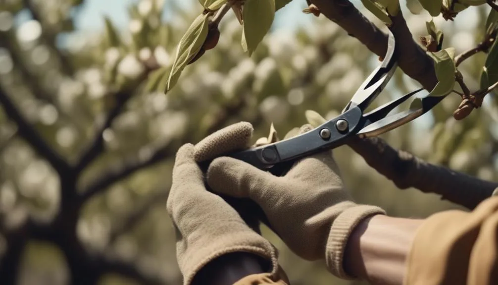 proper pruning techniques for almonds