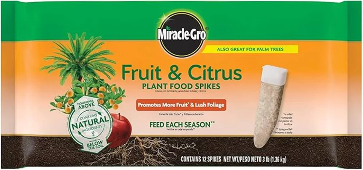 fruit citrus plant food