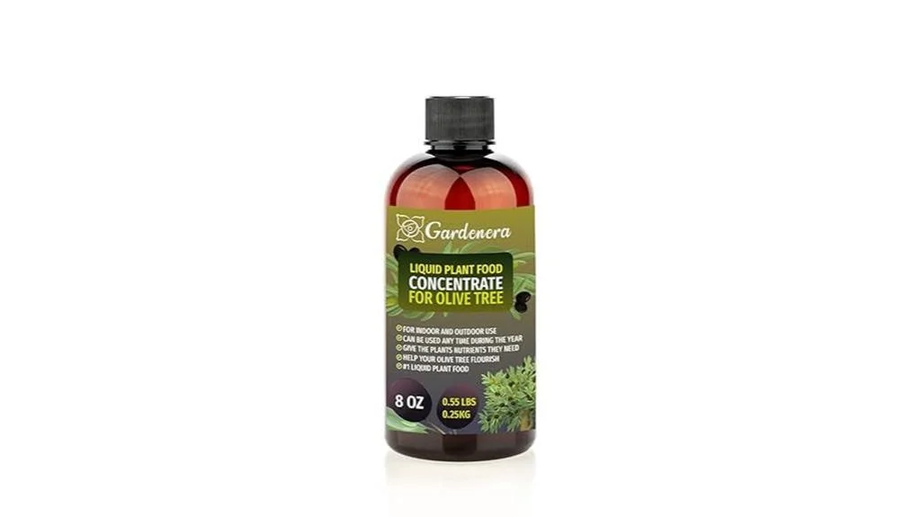 olive tree growth superfood
