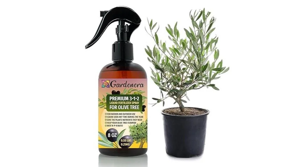 olive tree spray fertilizer