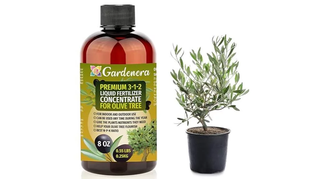 premium olive tree fertilizer