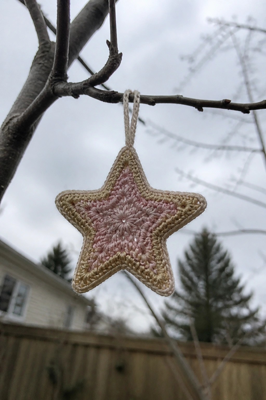 Crocheted pink and beige star ornament hanging from bare tree branch