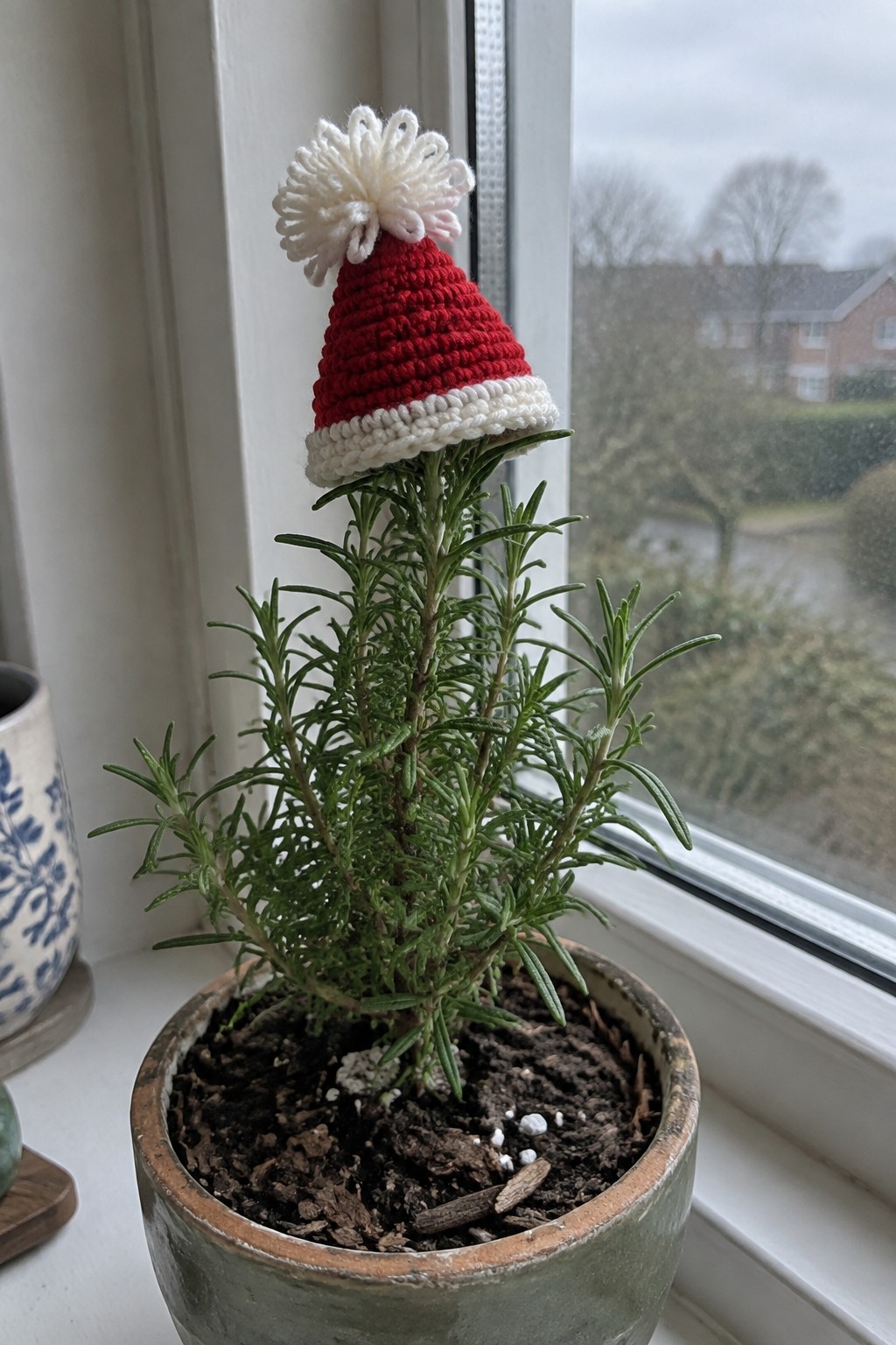 Potted rosemary plant topped with red crocheted Santa hat and white pom-pom