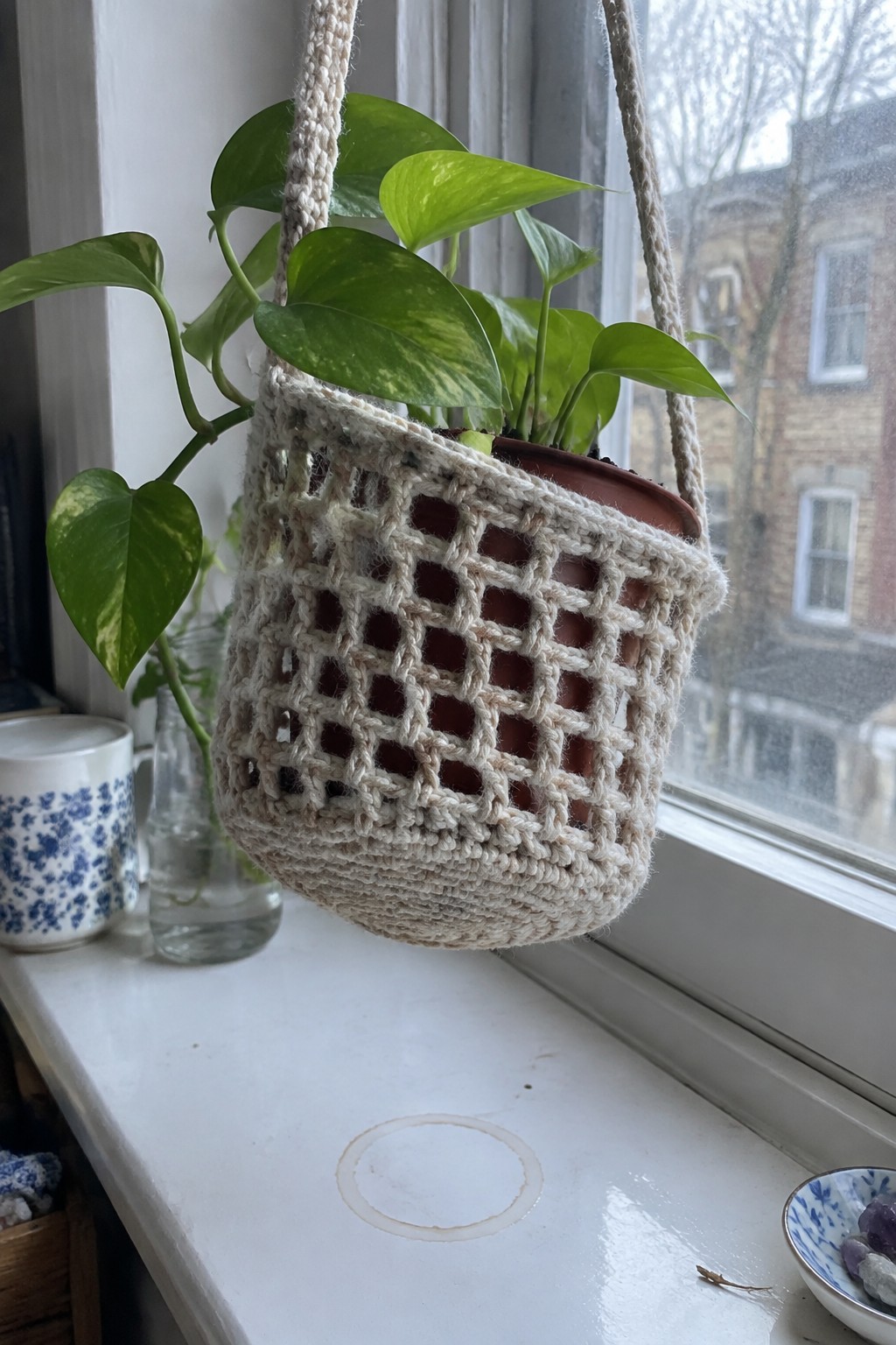 Variegated pothos in beige macrame hanger on white windowsill near window